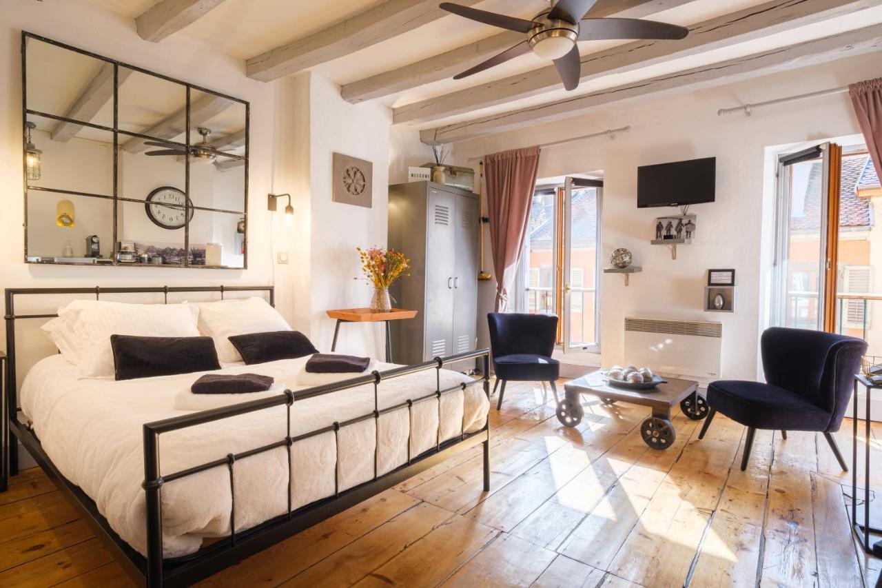 Au Grey D'Annecy, Studio Cosy Au Coeur De La Ville 外观 照片